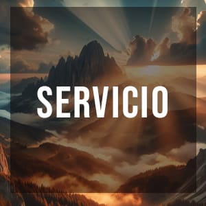servicio servicio